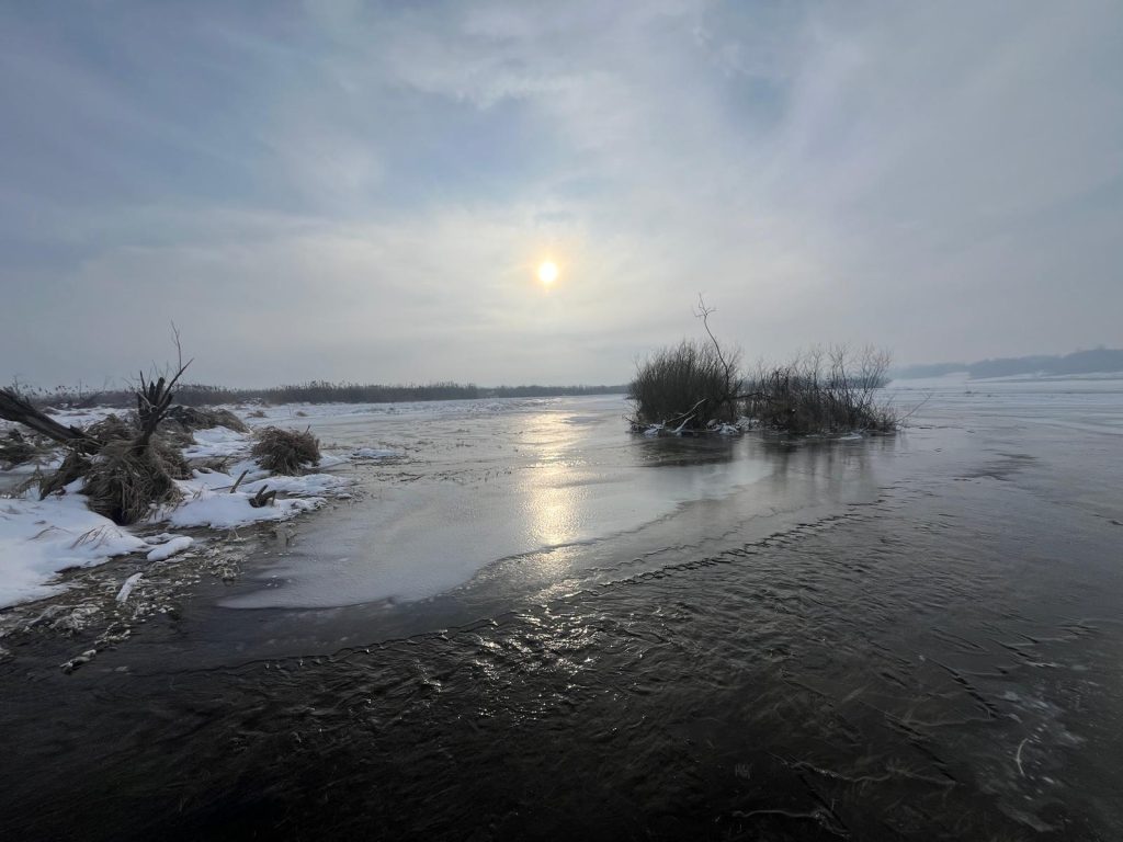 WhatsApp Image 2026-01-07 at 15.52.47(5)