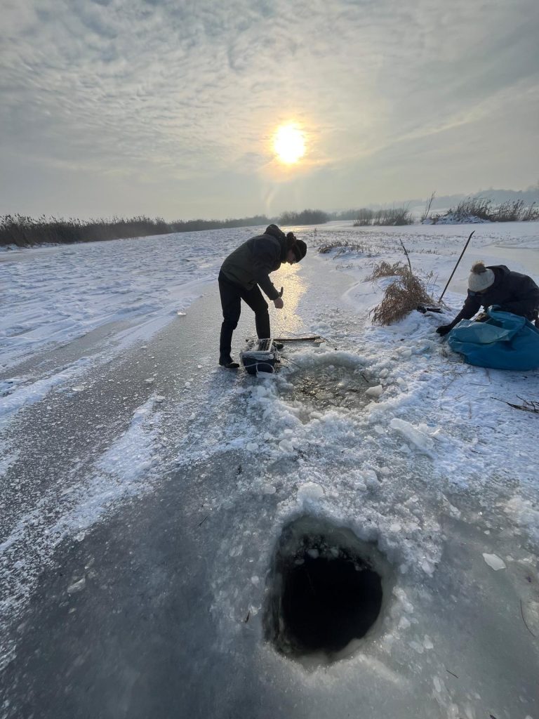 WhatsApp Image 2026-01-07 at 15.52.51(3)